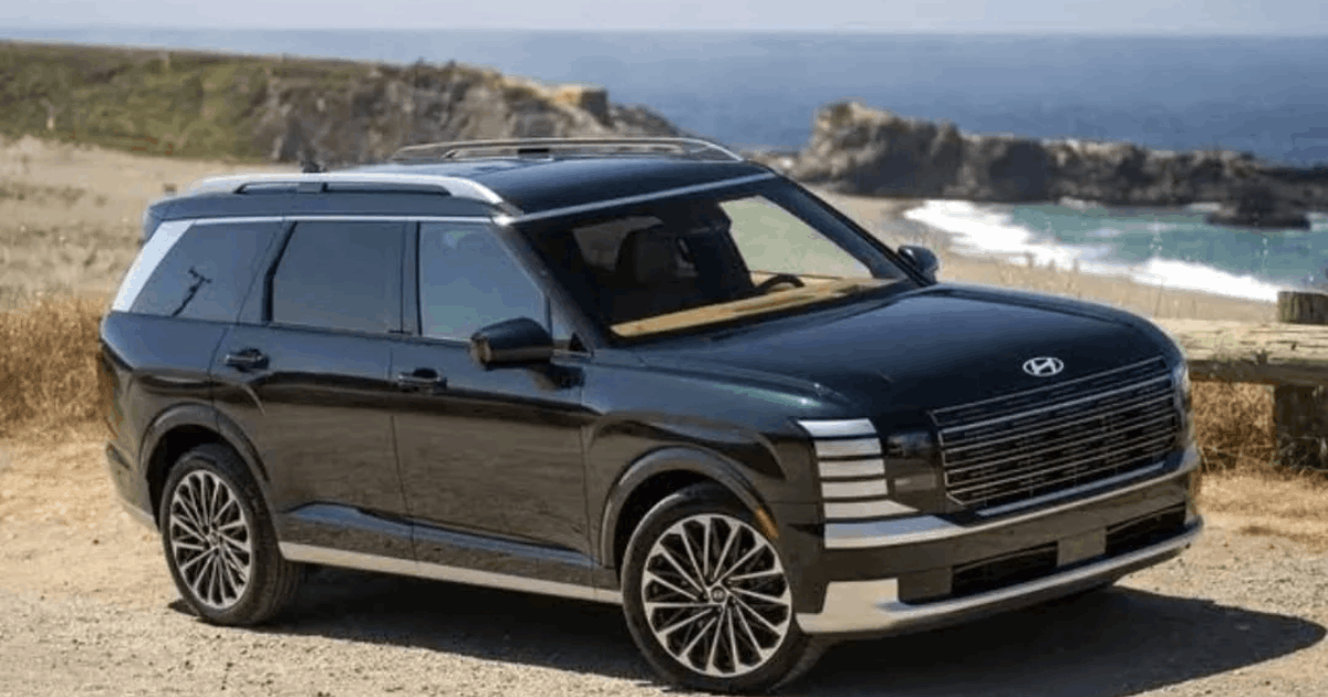 Hyundai recall Palisade di AS